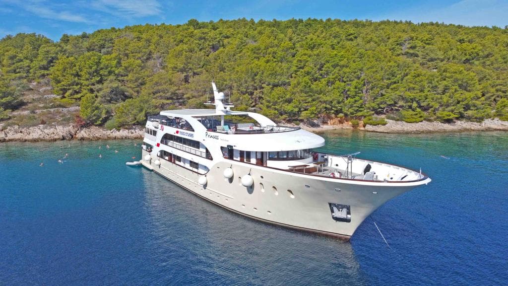 Large white cruise ship anchored in a calm bay near a forested coastline