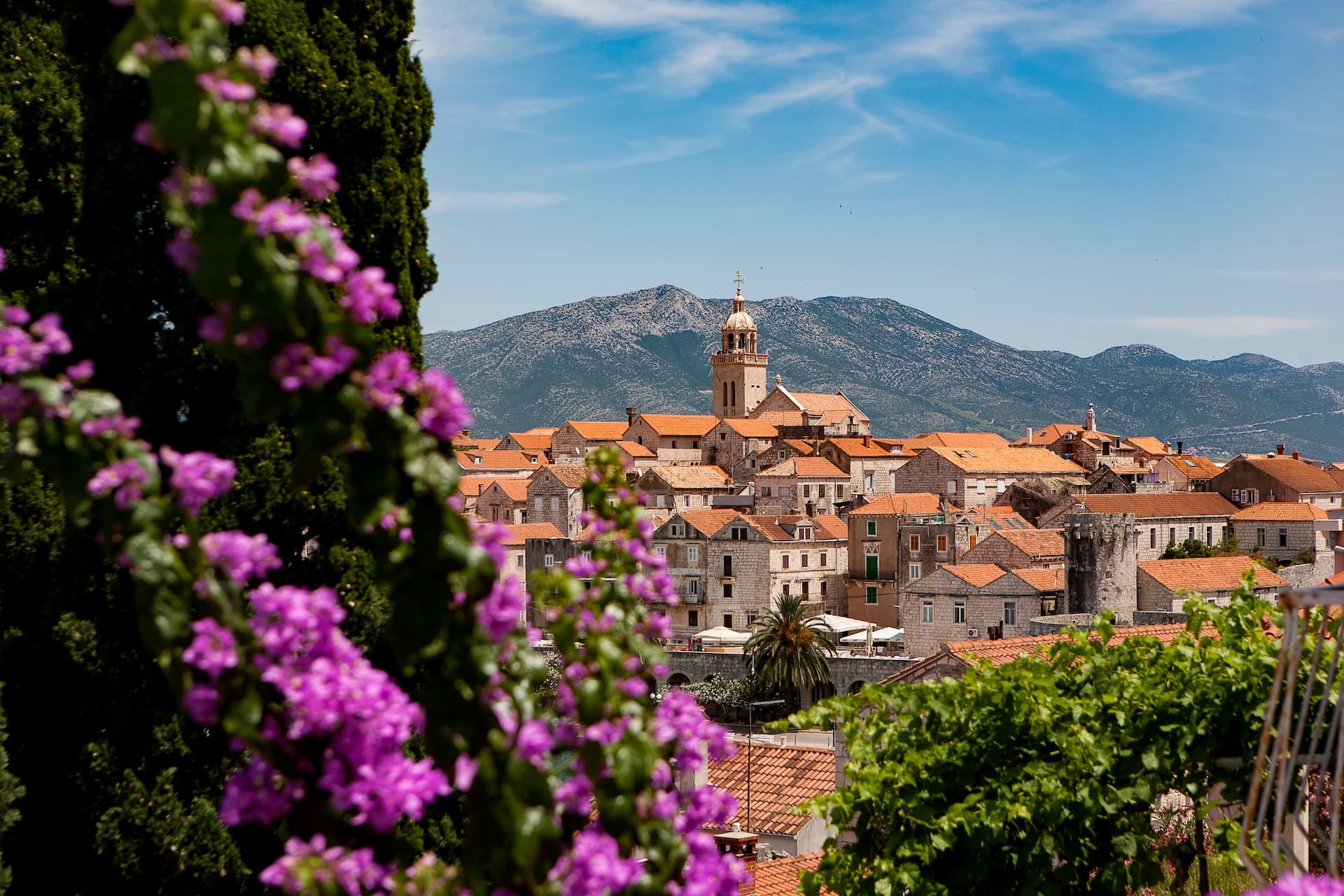 Town of Korcula with terracotta roofs and bell tower, framed by purple flowers and mountains.